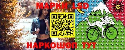 стафф Бугуруслан