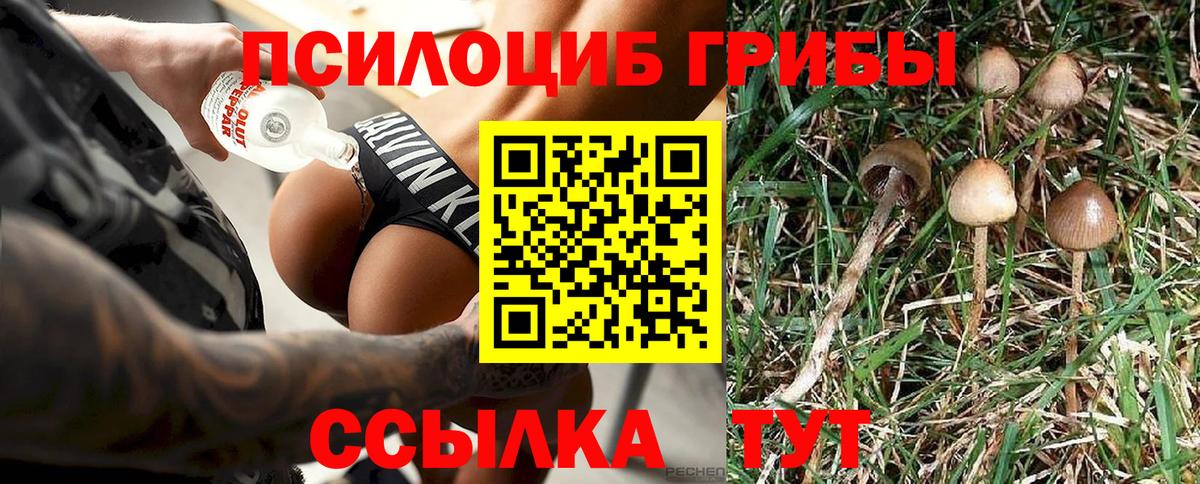 Псилоцибиновые грибы прущие грибы  Вход с VPN  Прохладный 
